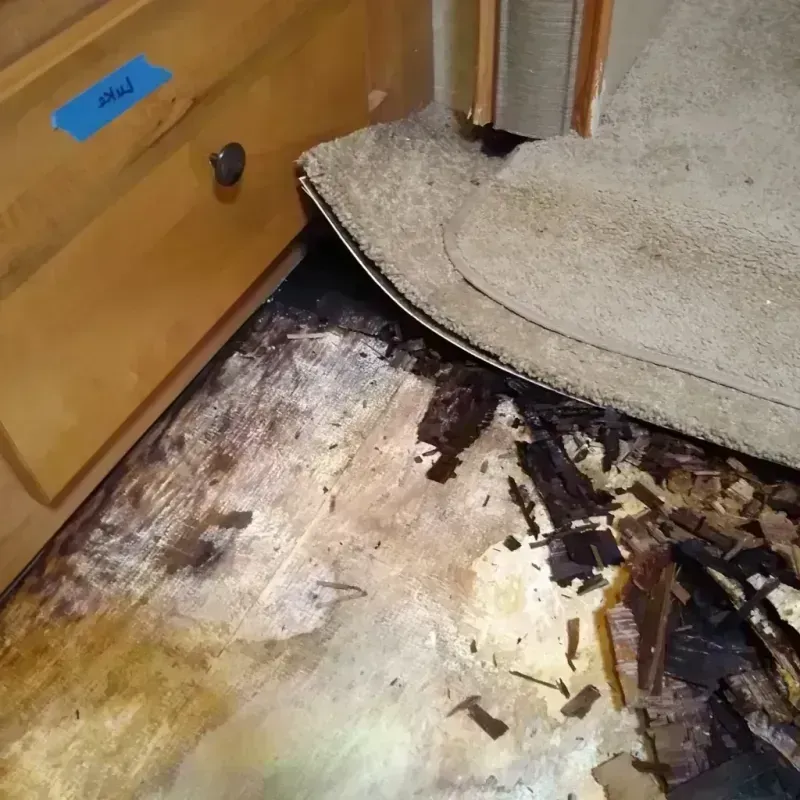 Wood Floor Water Damage in Franklin Park, IL